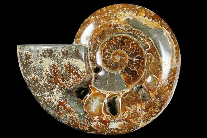 Wide Polished Fossil Ammonite Dish - Inlaid Ammonite #133248